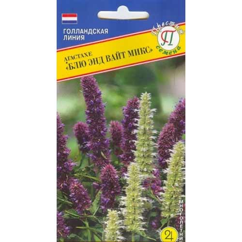 Агастахе Блю энд Вайт микс Престиж изображение 1 артикул 97985
