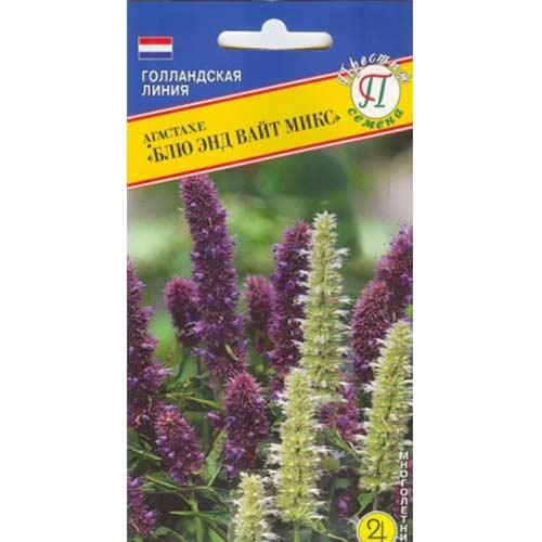 Агастахе Блю энд Вайт изображение 1 артикул 71408