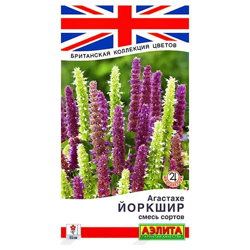 Агастахе Йоркшир, смесь окрасок Аэлита изображение 1 артикул 98808