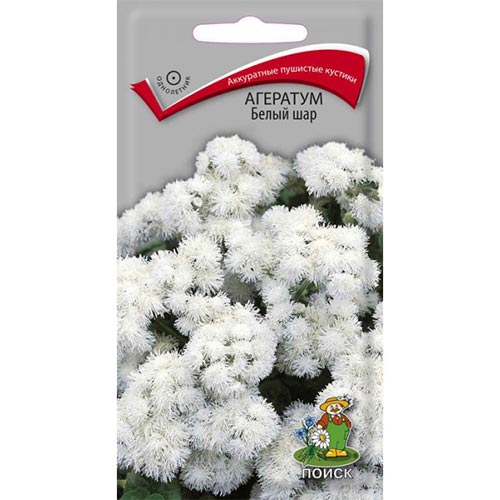 Агератум Белый шар, семена изображение 1 артикул 92837