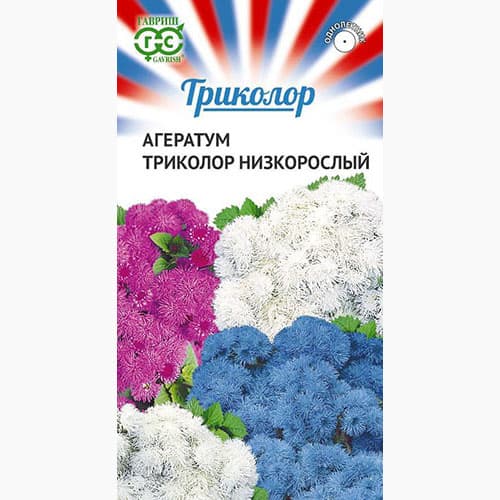 Агератум Триколор низкорослый Гавриш изображение 1 артикул 97568