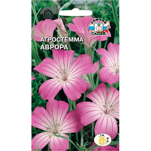 Агростемма Аврора, семена изображение 1 артикул 93616