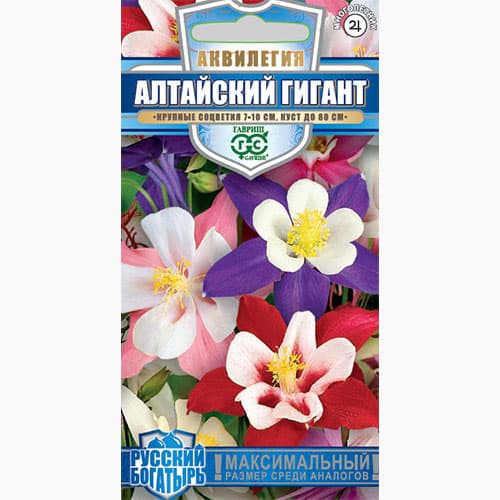 Аквилегия Алтайский гигант Гавриш артикул фото 1 Аквилегия Алтайский гигант Гавриш изображение 1 артикул 97569