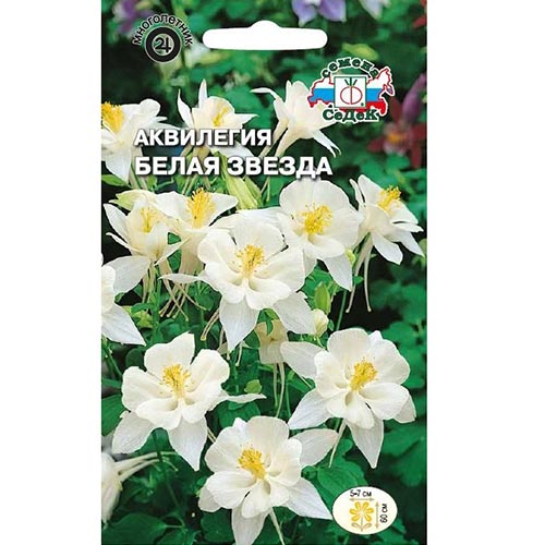 Аквилегия Белая звезда, семена артикул фото 1 Аквилегия Белая звезда, семена изображение 1 артикул 93619