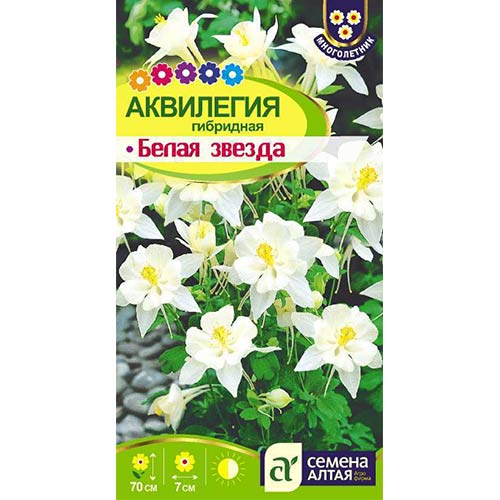 Аквилегия Белая звезда Семена Алтая изображение 1 артикул 81602
