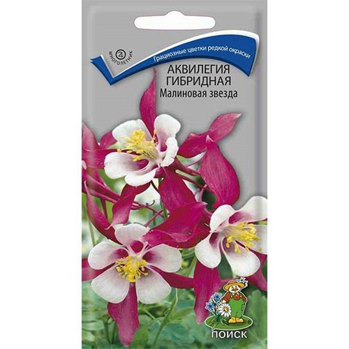 Аквилегия гибридная Малиновая звезда изображение 1 артикул 92843