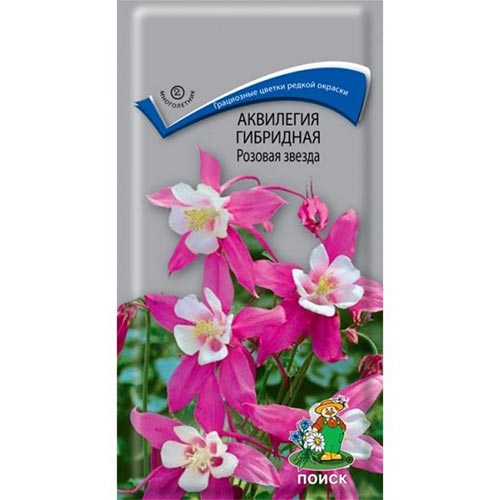 Аквилегия гибридная Розовая звезда изображение 1 артикул 92844