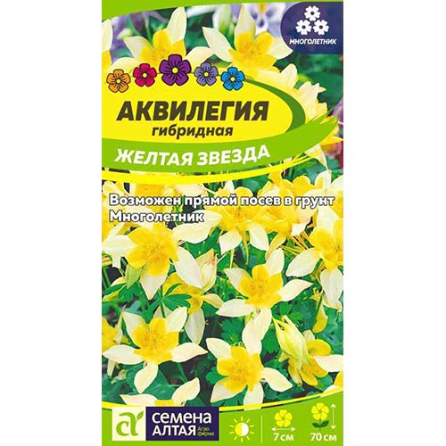 Аквилегия Желтая звезда Семена Алтая изображение 1 артикул 81604