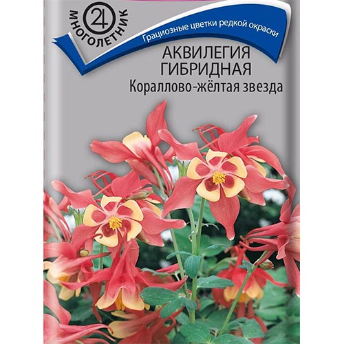 Аквилегия Кораллово-желтая звезда, семена изображение 1 артикул 92847