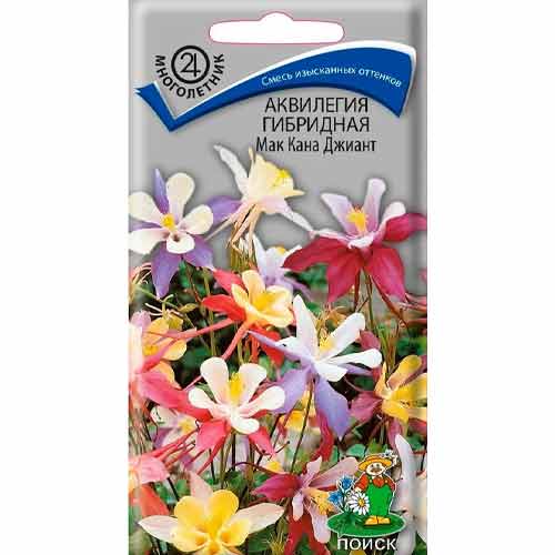 Аквилегия гибридная Мак Кана Джиант, смесь окрасок Поиск артикул фото 1 Аквилегия гибридная Мак Кана Джиант, смесь окрасок Поиск изображение 1 артикул 92848