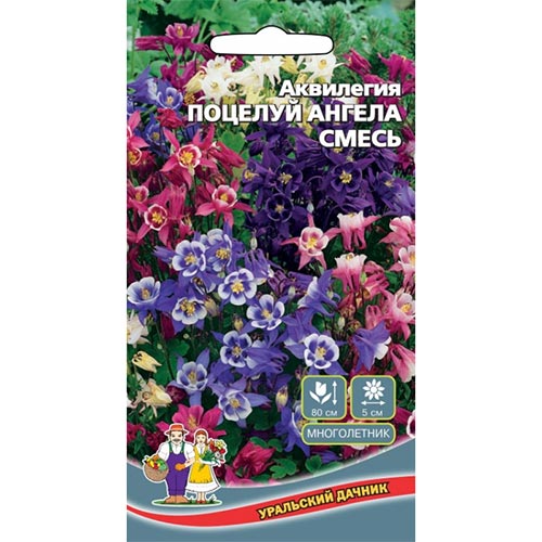 Аквилегия Поцелуй ангела, смесь окрасок изображение 1 артикул 94757
