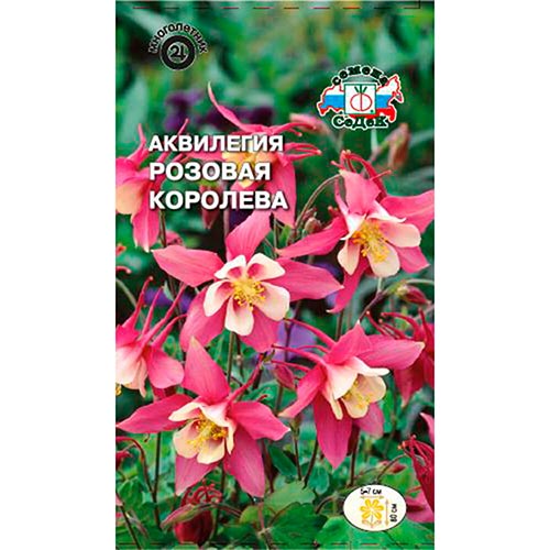 Аквилегия Розовая Королева, семена изображение 1 артикул 93622