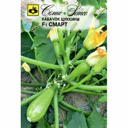 Кабачок цуккини Смарт F1 Семко изображение 1 артикул 94098