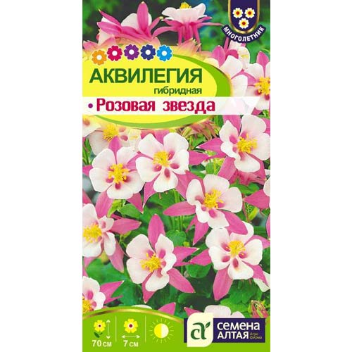Аквилегия Розовая звезда Семена Алтая изображение 1 артикул 81605