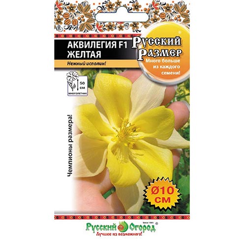 Аквилегия Русский Размер Желтая F1, семена изображение 1 артикул 92407