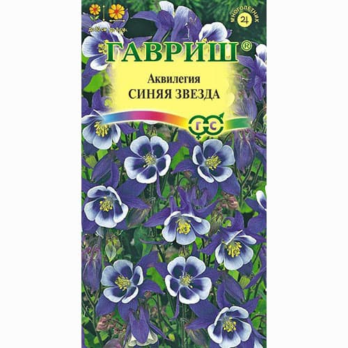 Аквилегия Синяя звезда Гавриш артикул фото 1 Аквилегия Синяя звезда Гавриш изображение 1 артикул 91888