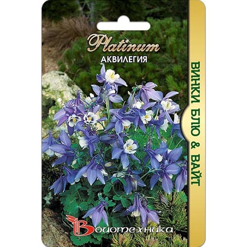 Аквилегия Винки Блю & Вайт, семена изображение 1 артикул 91539