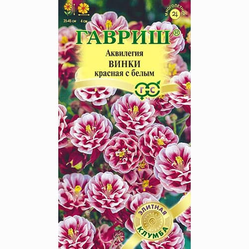 Аквилегия Винки красная с белым Гавриш артикул фото 1 Аквилегия Винки красная с белым Гавриш изображение 1 артикул 91882