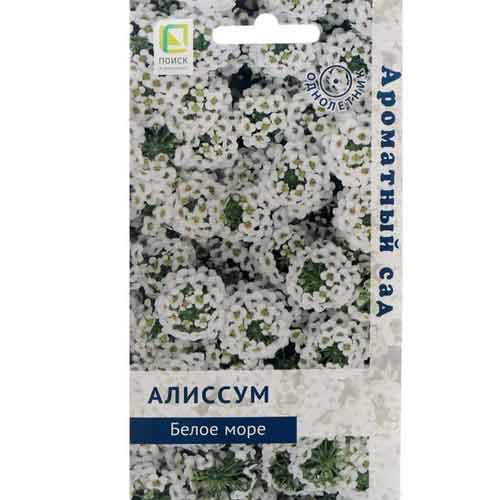 Алиссум Белое море Поиск изображение 1 артикул 92850