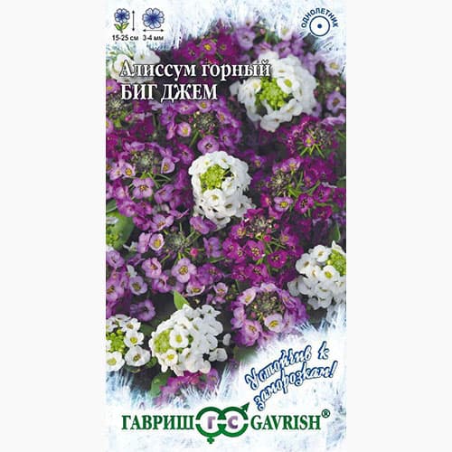 Алиссум Биг Джем Гавриш изображение 1 артикул 97570