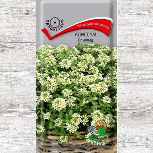 Алиссум Лимонад изображение 1 артикул 82021