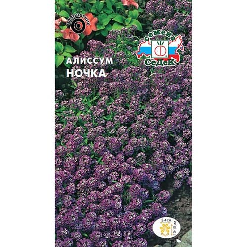 Алиссум Ночка , семена артикул фото 1 Алиссум Ночка , семена изображение 1 артикул 93627