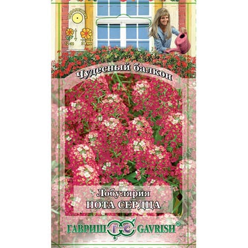 Алиссум Нота сердца, семена артикул фото 1 Алиссум Нота сердца, семена изображение 1 артикул 91890