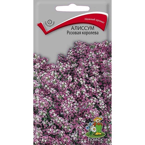 Алиссум Розовая Королева, семена артикул фото 1 Алиссум Розовая Королева, семена изображение 1 артикул 92853