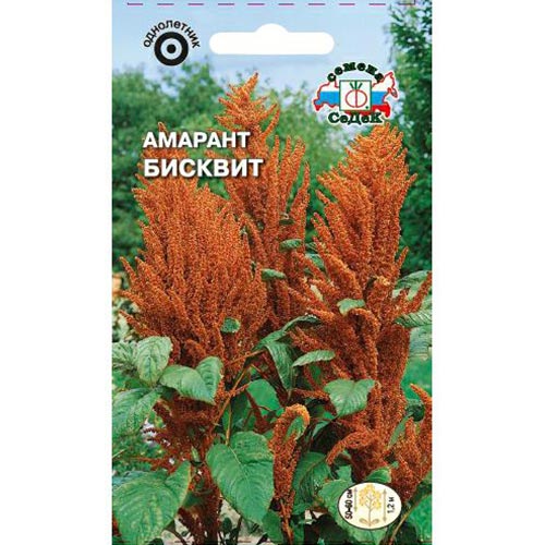 Амарант Бисквит, семена изображение 1 артикул 93628