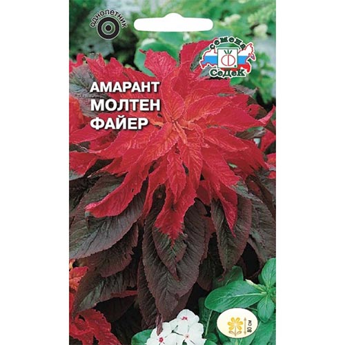 Амарант Молтен Файер, семена изображение 1 артикул 93629