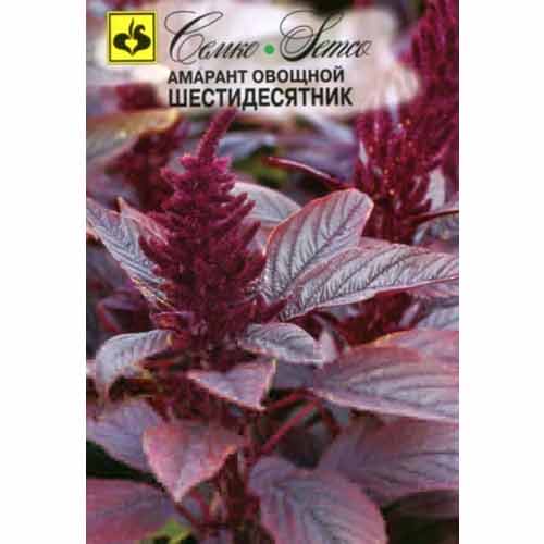 Амарант овощной Шестидесятник Семко изображение 1 артикул 94279