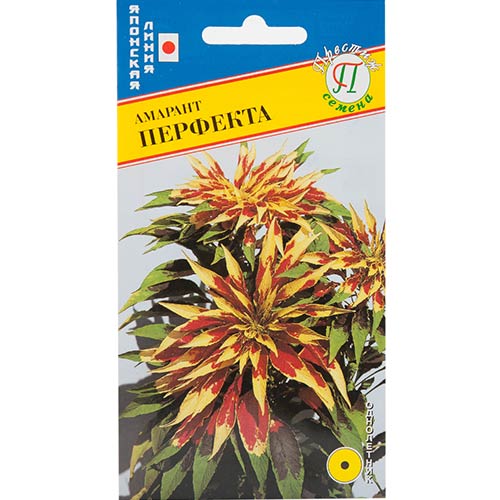 Амарант Перфекта Престиж изображение 1 артикул 81278