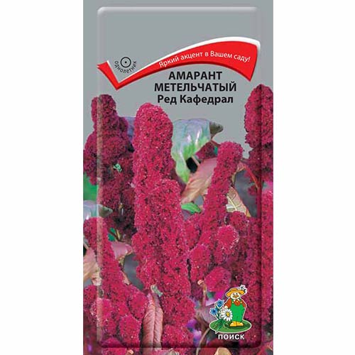 Амарант Ред Кафедрал Поиск изображение 1 артикул 82023