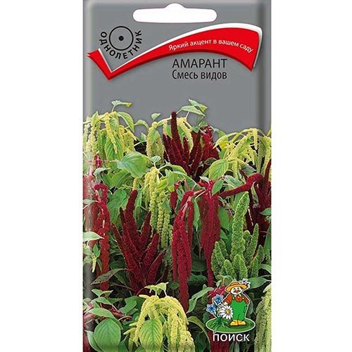 Амарант, смесь окрасок изображение 1 артикул 92856
