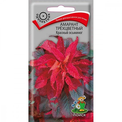 Амарант трехцветный Красный осьминог, семена изображение 1 артикул 92855