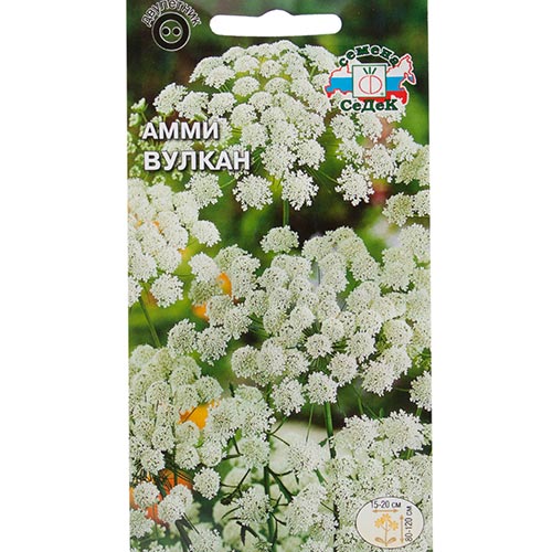 Амми Вулкан, семена изображение 1 артикул 93633