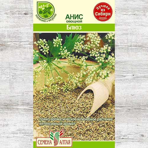 Анис овощной Блюз Семена Алтая изображение 1 артикул 81470