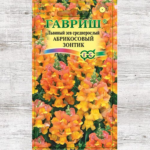 Антирринум Абрикосовый зонтик Гавриш изображение 1 артикул 73769