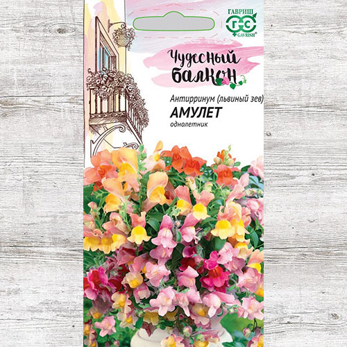 Антирринум ампельный Амулет, смесь окрасок Гавриш изображение 1 артикул 73771