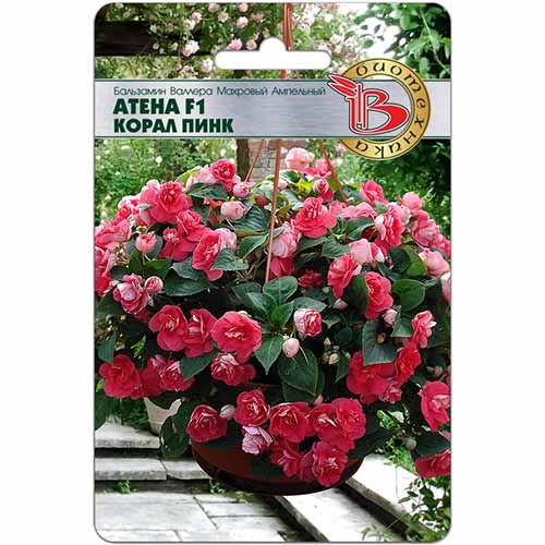 Антирринум Антик Лемон F1 Биотехника изображение 1 артикул 74041