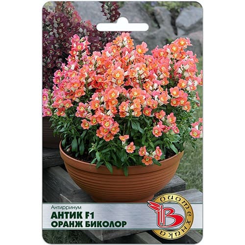 Львиный зев (антирринум) Антик Оранж Биколор F1 Биотехника изображение 1 артикул 74042