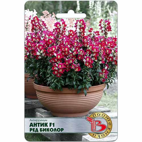 Антирринум Антик Ред Биколор F1 Биотехника изображение 1 артикул 74043