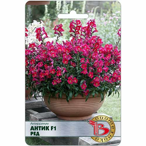 Антирринум Антик Ред F1 Биотехника изображение 1 артикул 74803