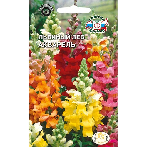 Антирринум (львиный зев) Акварель, смесь окрасок изображение 1 артикул 93636