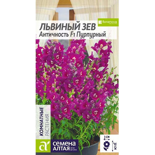 Антирринум (львиный зев) Античность Пурпурный F1, семена изображение 1 артикул 94105