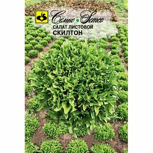 Салат листовой Скилтон Семко артикул фото 1 Салат листовой Скилтон Семко изображение 1 артикул 94107