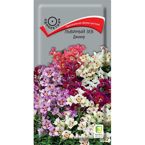 Антирринум (львиный зев) Джокер, смесь окрасок изображение 1 артикул 92857
