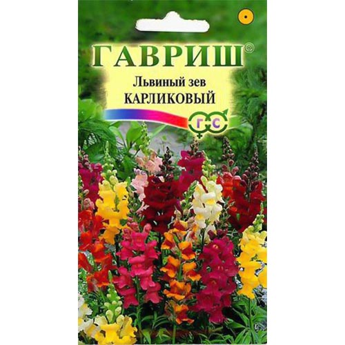 Антирринум (львиный зев) Карликовый, смесь окрасок артикул фото 1 Антирринум (львиный зев) Карликовый, смесь окрасок изображение 1 артикул 91902