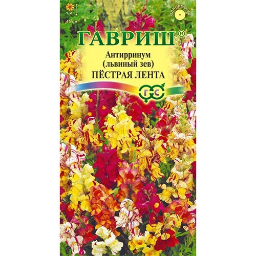 Антирринум (львиный зев) Пестрая лента, смесь окрасок изображение 1 артикул 91904