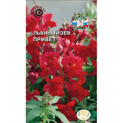 Антирринум (львиный зев) Привет, семена изображение 1 артикул 93640